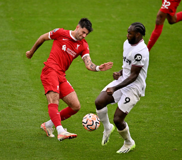 涯的选择 涯的选择